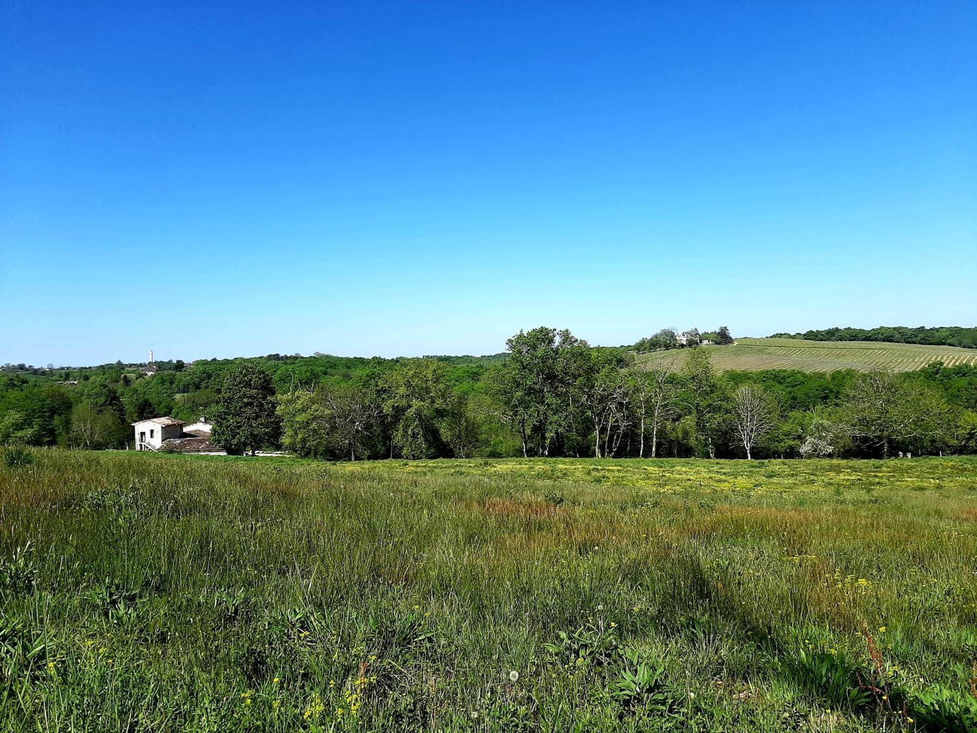 Aux Tuileries Nord B&B Créon Zewnętrze zdjęcie